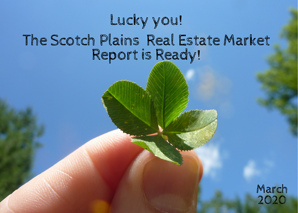 Team Zuhl's real estate market update for scotch plains, NJ